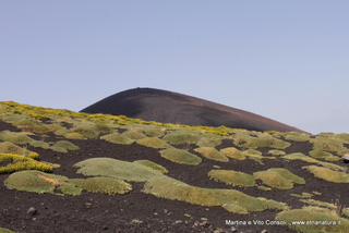 rra delle Concazze-05-08-2014 15-14-41